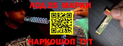 мяу мяу мука Малгобек