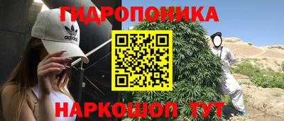 PSILOCYBIN Малоярославец