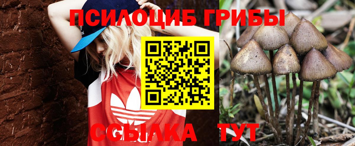 Псилоцибиновые грибы Psilocybine cubensis  Вход с VPN  дарнет шоп  Верхняя Салда 